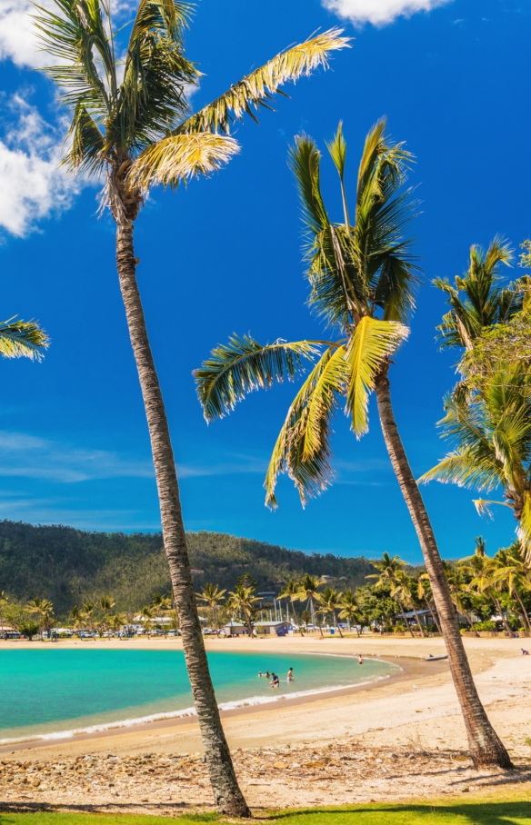 Airlie Beach, Whitsunday Coast, QLD © Tourism Whitsundays