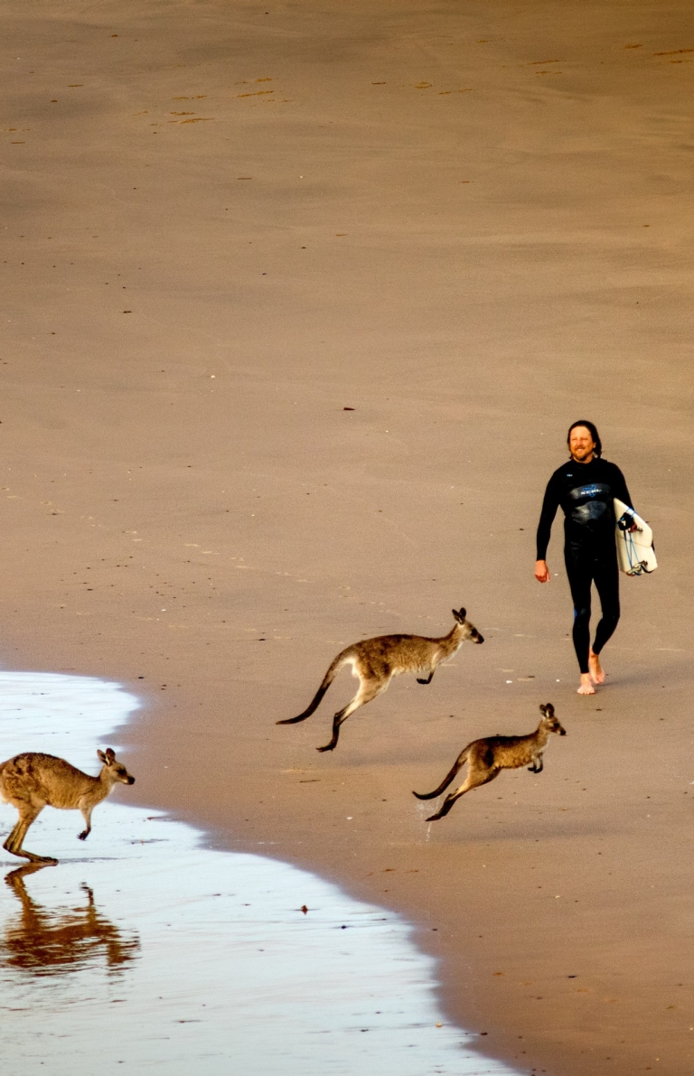 Emerald Beach, Coffs Coast, North Coast, New South Wales © ST Surf Images