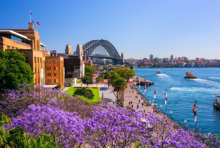 Jacarandas, Sydney Harbour, Sydney, NSW © Destination NSW