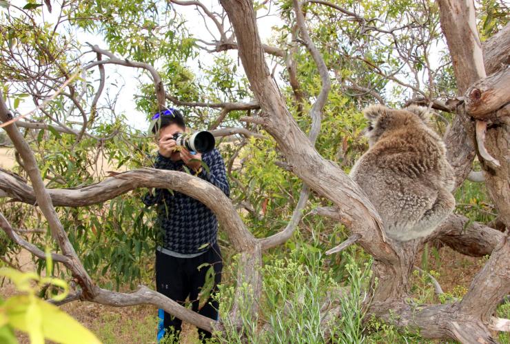 Australian Coastal Safaris, Port Lincoln, Eyre Peninsula, SA © Australian Coastal Safaris