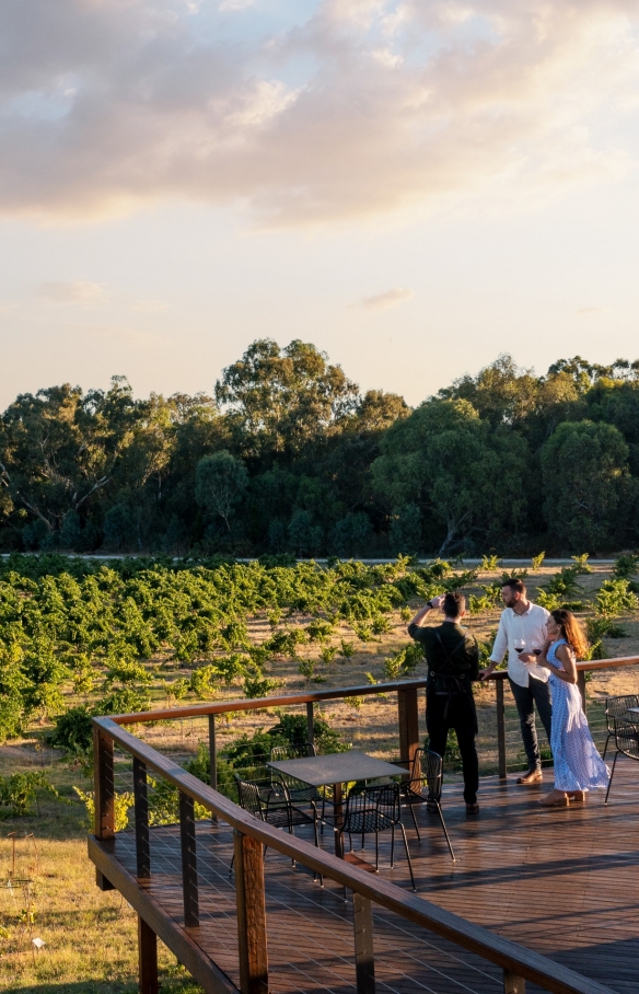 St Hugo Wines, Barossa Valley, SA © Tourism Australia