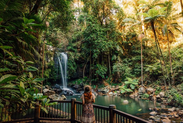 Curtis Falls, Scenic Rim, Queensland © Tourism and Events Queensland
