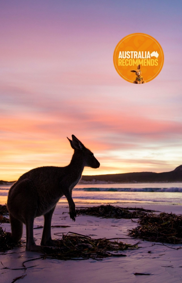 Kangaroo, Lucky Bay, Cape Le Grand National Park, WA © Tourism Western Australia