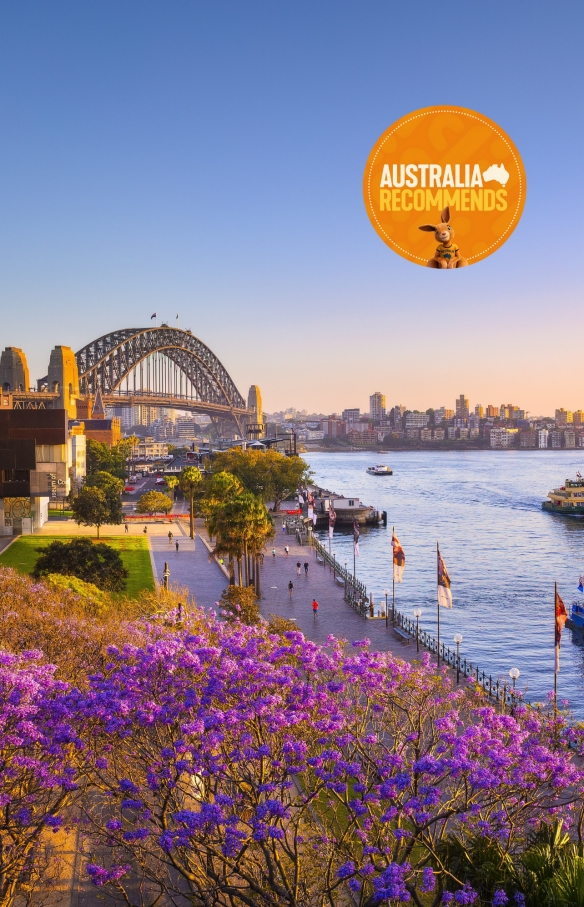 Jacarandas and Sydney Harbour at sunset, Sydney, NSW © Destination NSW