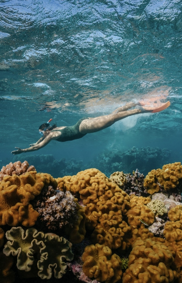 Dreamtime Dive and Snorkel, Cairns, Queensland © Tourism Australia