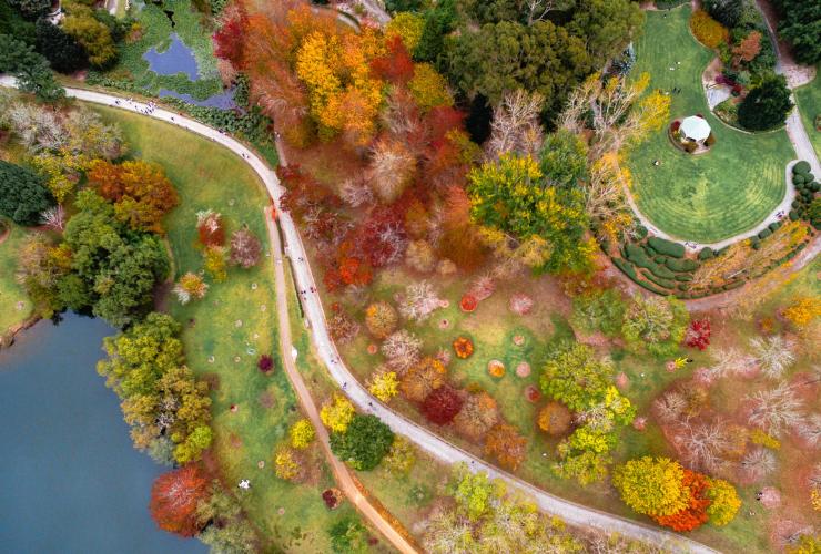 An aerial view of Mount Lofty Botanic Garden © South Australia