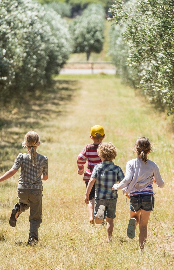 Silverdale Olive Orchard, Coral Coast, WA © Australia's Coral Coast