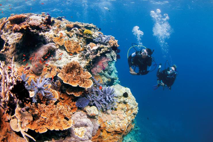 Pixies Garden, Great Barrier Reef, QLD © Tourism and Events Queensland