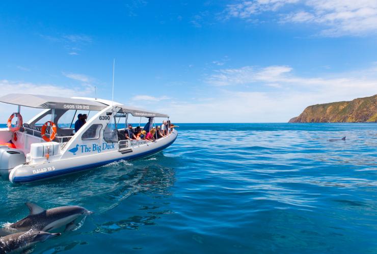 The Big Duck Boat Tour, Victor Harbour, Fleurieu Peninsula South Australia © South Australian Tourism Commission The Big Duck Boat Tour, Victor Harbour, Fleurieu Peninsula South Australia © South Australian Tourism Commission