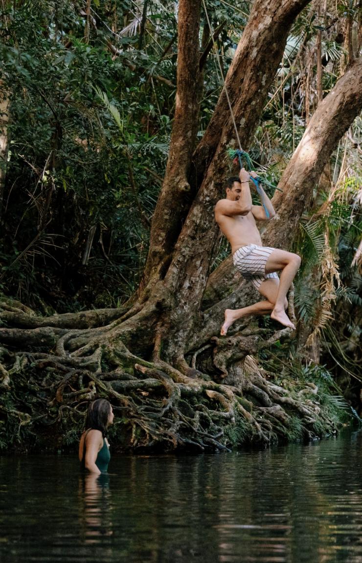 Cape Tribulation, Tropical North Queensland, QLD © Tourism Australia