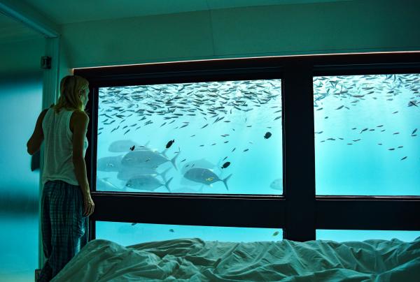 Cruise Whitsundays Reef Suite Accommodation, Îles Whitsunday, QLD © Cruise Whitsundays