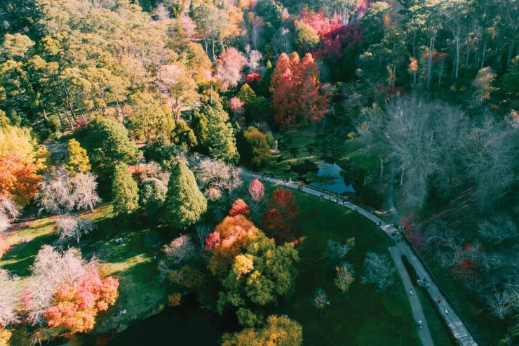 Mount Lofty Botanic Gardens, Adelaide Hills, Australie du Sud © Sam Williams 