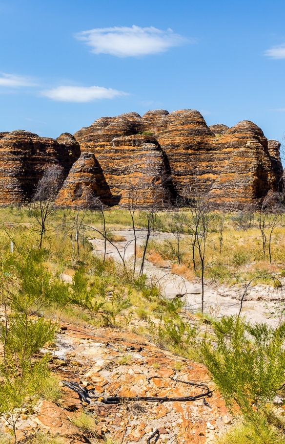 La chaîne des Bungle Bungle, le Purnululu National Park, WA. © Jewels Lynch Photography, Tourism Western Australia 