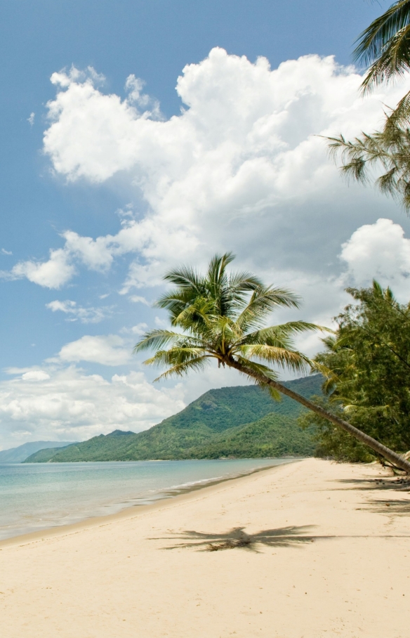 Thala Beach, Port Douglas, QLD © Tourism Port Douglas and Daintree