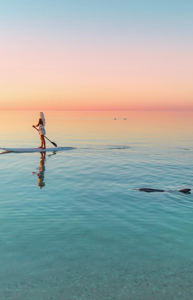 Monkey Mia, réserve de Shark Bay inscrite au patrimoine mondial, WA © Tourism Western Australia Monkey Mia, réserve de Shark Bay inscrite au patrimoine mondial, WA © Tourism Western Australia