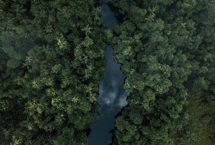 Vue aérienne sur la forêt tropicale de Daintree, Queensland © Melissa Findley/Tourism Australia