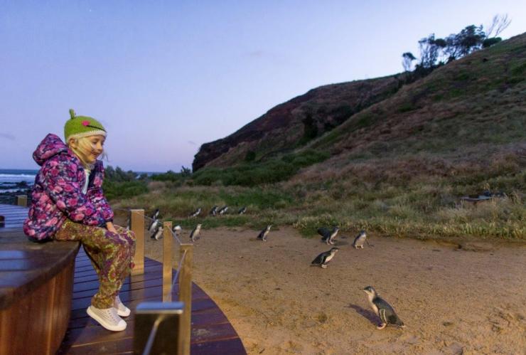 Enfant assis sur la plateforme Penguins Plus Viewing et regardant la Penguin Parade, Phillip Island, Victoria © Phillip Island Nature Park