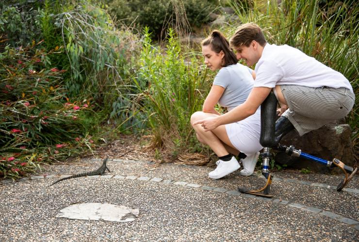 Homme utilisant des équipements d'aide à la mobilité et femme admirant un lézard dans les jardins botaniques nationaux, Canberra, Territoire de la Capitale Australienne © Tourism Australia
