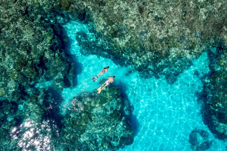 Heron Island, sud de la Grande Barrière de Corail, Queensland © Tourism and Events Queensland