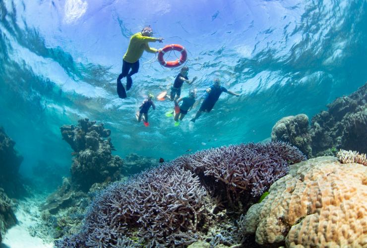 Dreamtime Dive and Snorkel, Cairns, QLD © Tourism and Events Queensland