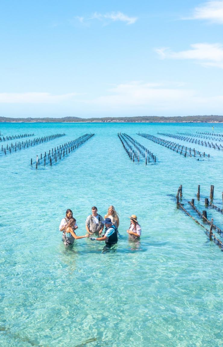 Experience Coffin Bay, Eyre Peninsula, Australie du Sud © Tourism Australia