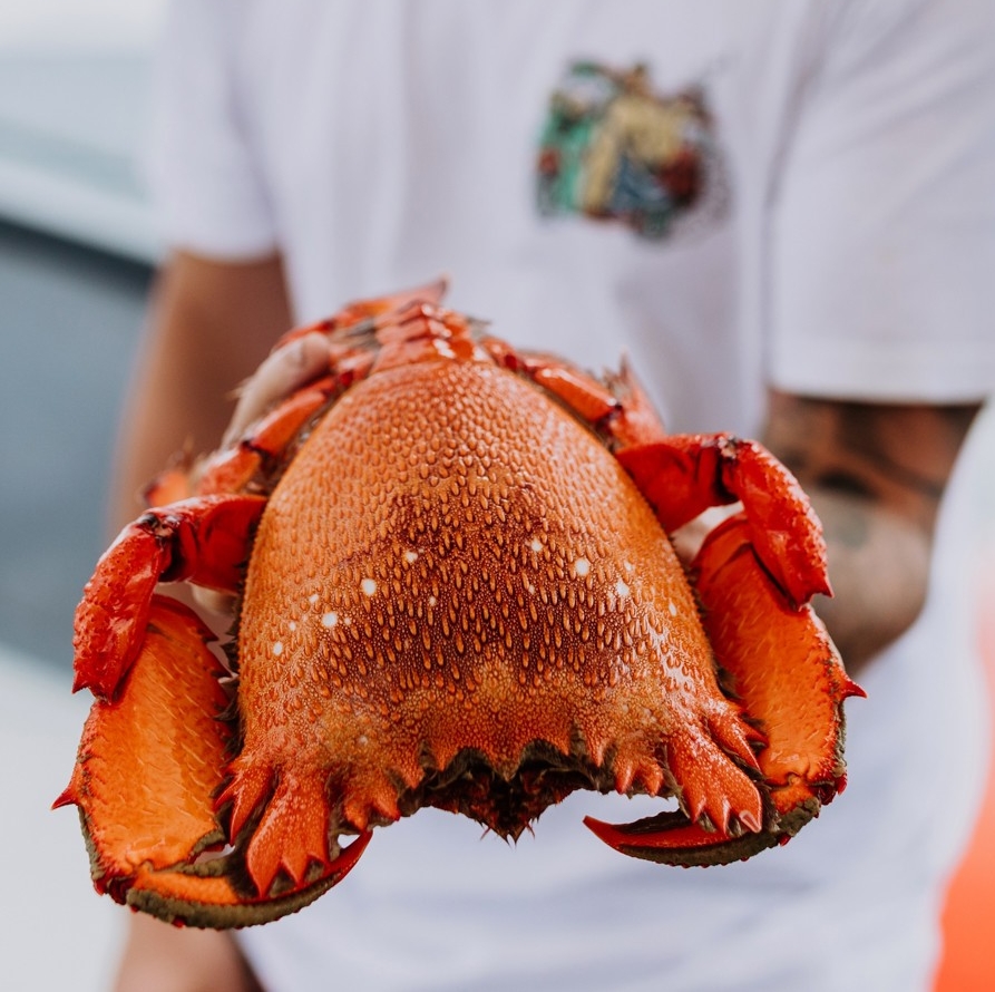 Homme tenant un crabe clé fraîchement pêché à Mooloolaba © Tourism and Events Queensland