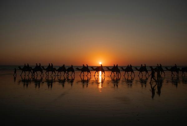 Une caravane de chameaux arpente Cable Beach, à Broome, au coucher du soleil © Tourism Australia