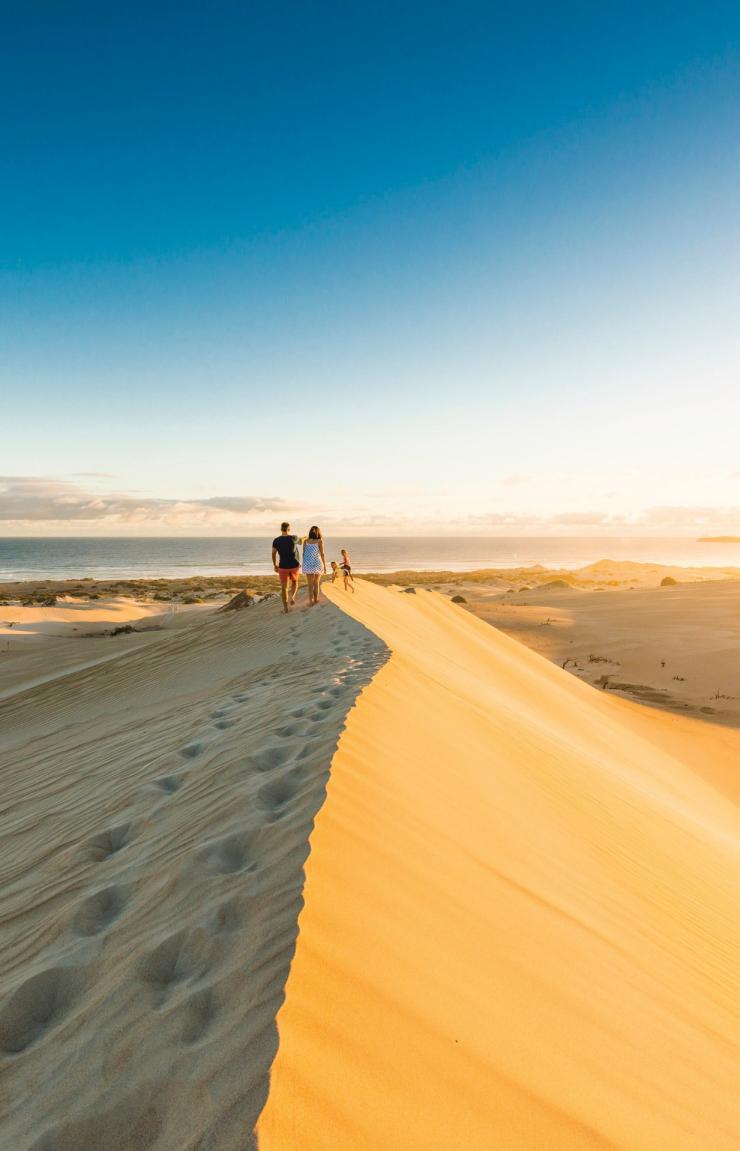 Dunes de sable de Gunyah Beach, Coffin Bay National Park, SA © Robert Blackburn  Dunes de sable de Gunyah Beach, Coffin Bay National Park, SA © Robert Blackburn