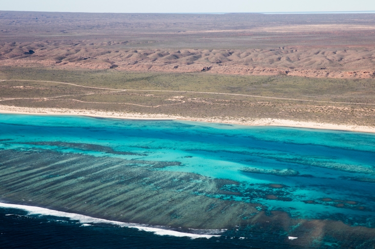 Ningaloo Reef, Australie Occidentale © Tourism Western Australia