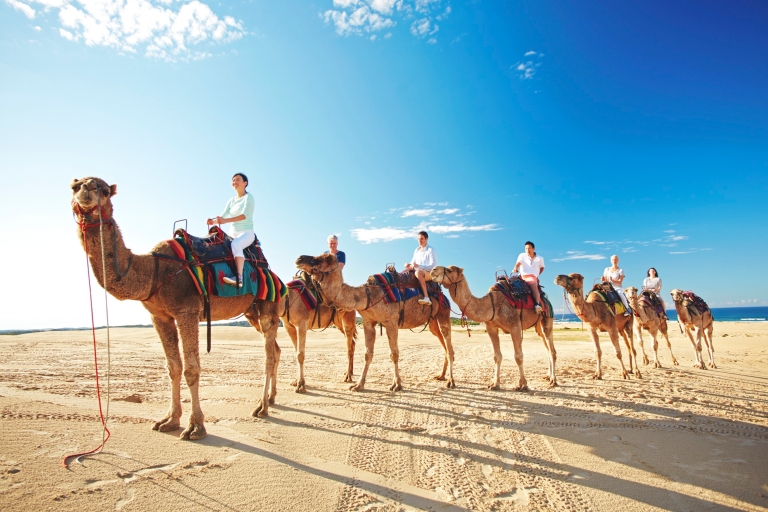 Camel Train at Stockton Beach, Port Stephens, NSW © Tourism Australia