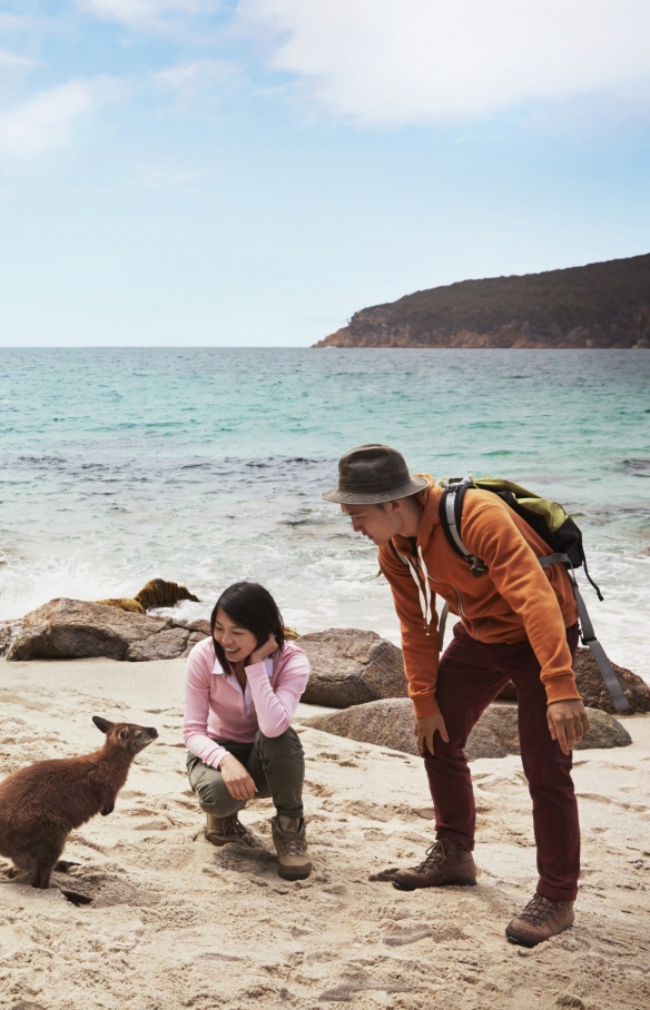 Freycinet Experience Walk, Freycinet National Park, TAS © Tourism Australia