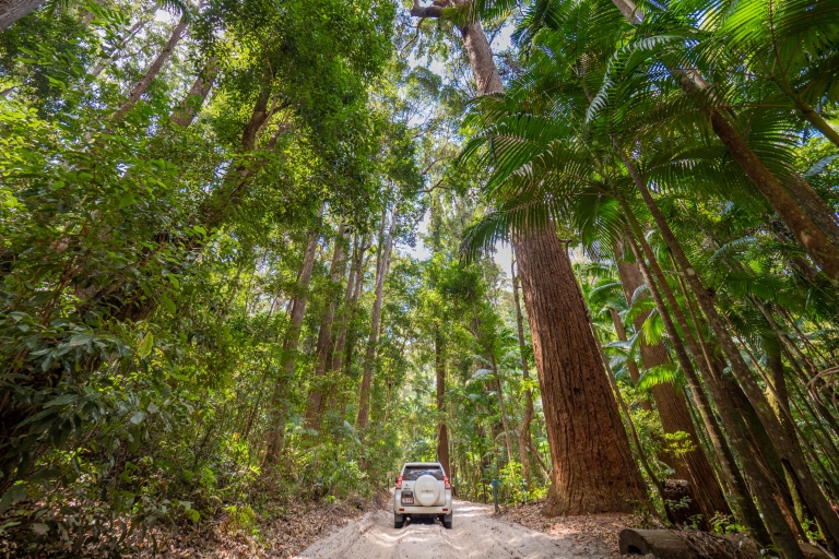 Pile Valley, Fraser Island, Queensland © Tourism Australia