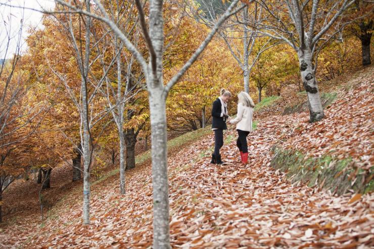 Festival Panen High Country, VIC © Tourism Australia