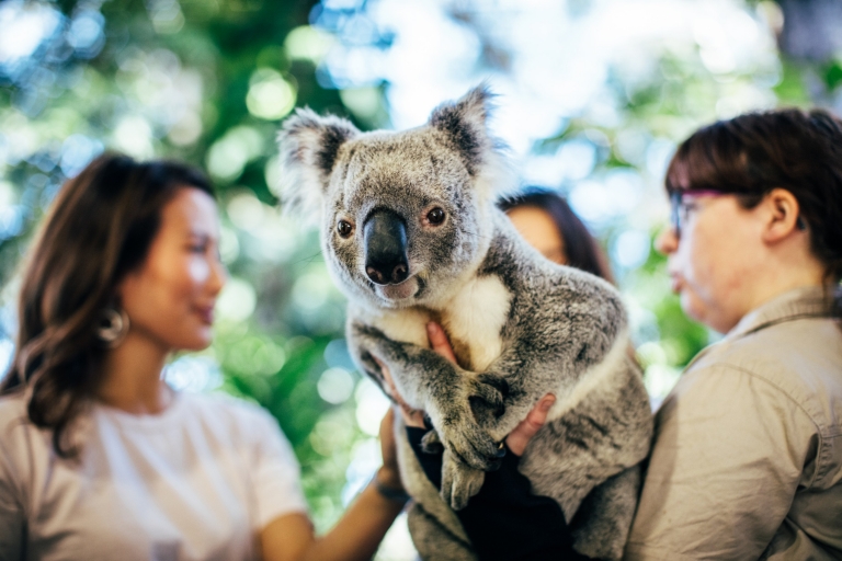 Currumbin Wildlife Sanctuary, Gold Coast, Queensland © Destination Gold Coast