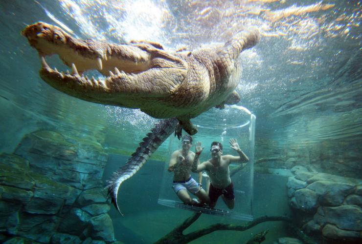 Interaksi buaya di Crocosaurus Cove, Darwin, Northern Territory © Tourism NT/ Shaana McNaught