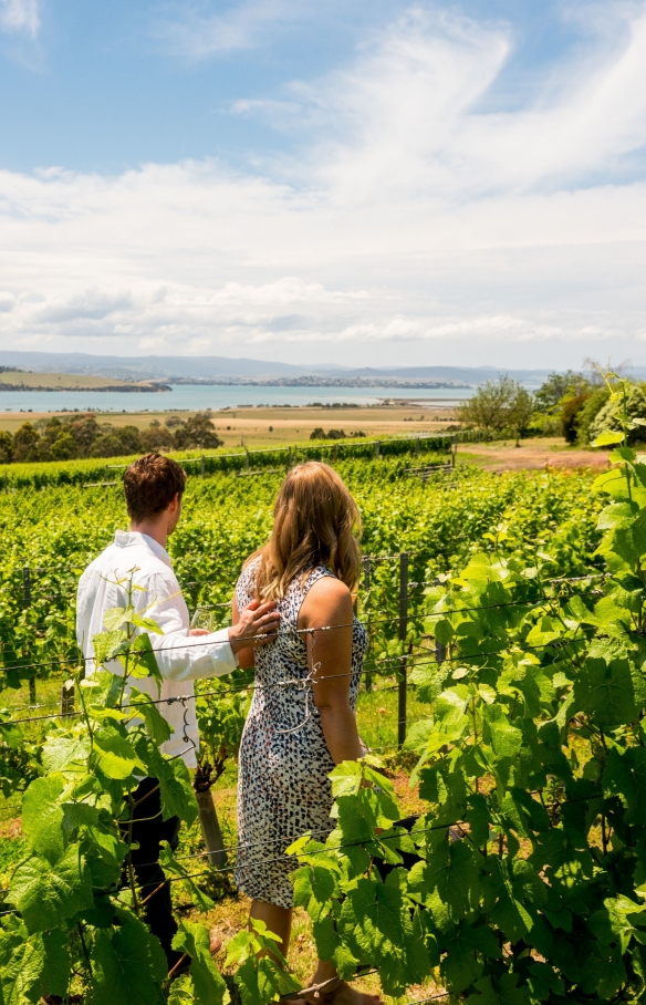 Pasangan di Coal River Vineyard dekat Hobart © Alastair Bett