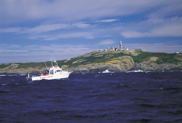Chartered fishing boat in Montague Island Nature Reserve, South Coast, NSW © Destination NSW Chartered fishing boat in Montague Island Nature Reserve, South Coast, NSW © Destination NSW