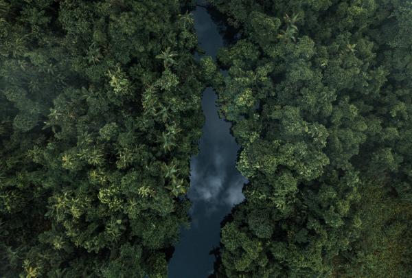 Pemandangan dari udara Daintree Rainforest, Queensland © Melissa Findley/Tourism Australia