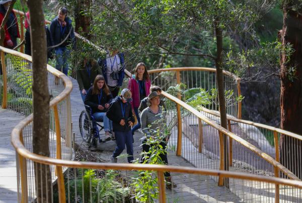 Seorang wanita yang duduk di kursi roda dengan satu grup berwisata melintasi semak-semak dengan Wildlife Wonders, Great Ocean Road, Victoria © Wildlife Wonders