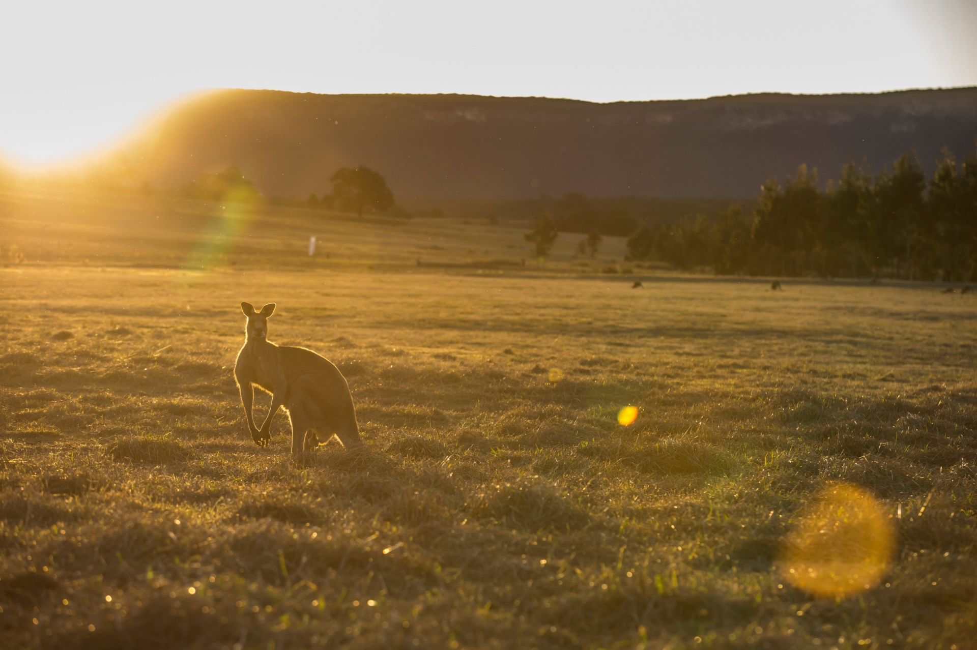 Emirates One&amp;Only Wolgan Valley, Wolgan Valley, New South Wales © Destination NSW