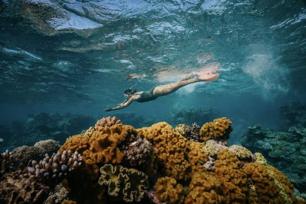 Dreamtime Dive and Snorkel, Cairns, Queensland © Tourism Australia