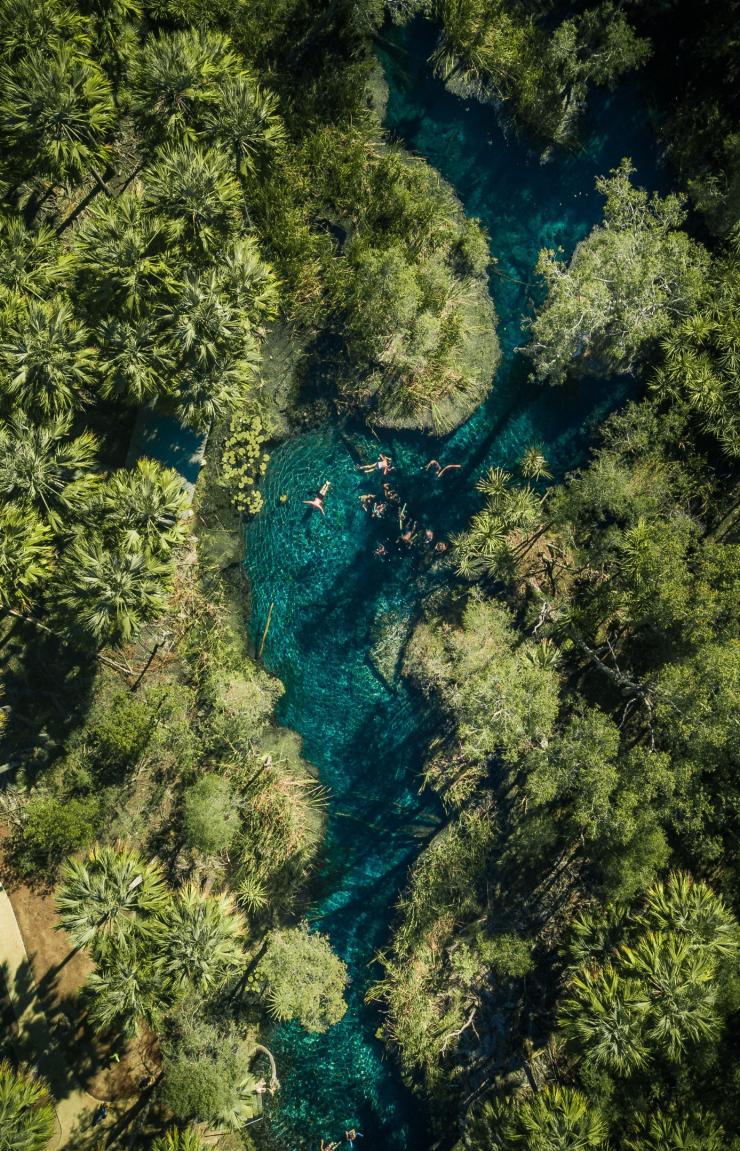 Pemandangan udara sekelompok orang yang berenang di perairan biru berkilauan di Bitter Springs di tepi kanopi pepohonan palem, Mataranka, Northern Territory © Tourism NT/Jason Charles Hill