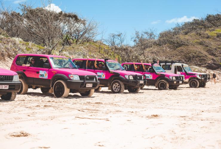 Fraser Dingo 4WD Hire, K'gari, QLD © Fraser Dingo 4WD Hire Fraser Dingo 4WD Hire, K'gari, QLD © Fraser Dingo 4WD Hire
