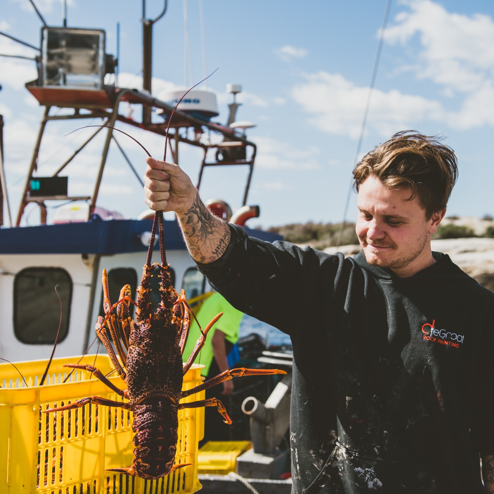 Udang karang di Bicheno Wharf, Bicheno, TAS © Stuart Gibson