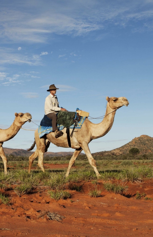 Camel Train Tour, Red Centre, Northern Territory © Tourism NT