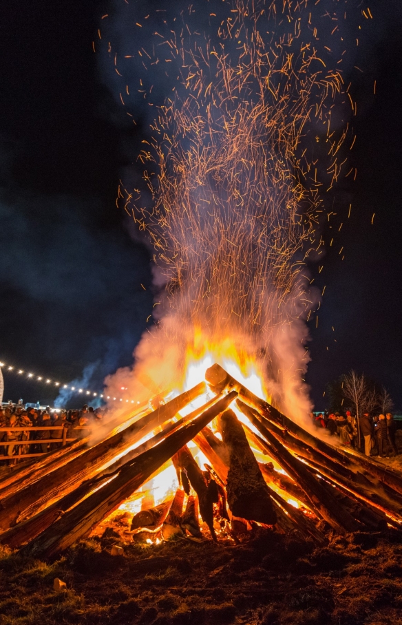 Mid Winter Festival di Huon Valley, Huon Valley, Tasmania © Mia Glastonbury