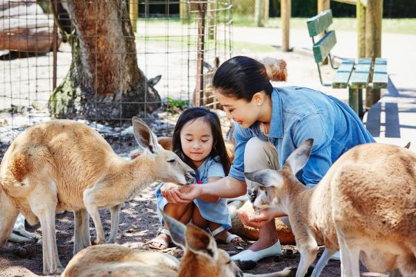 Caversham Wildlife Park, Swan Valley, Western Australia © Tourism Western Australia