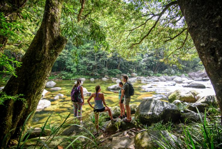 FNQ Nature Tours, Mossman River, Daintree National Park, Queensland © FNQ Nature Tours