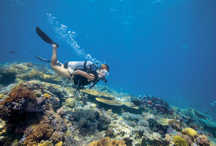 Lizard Island, Grande Barriera Corallina, Queensland © Delaware North Companies
