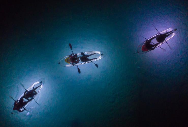 Tour notturno in kayak con Sunset Safaris, Moreton Island, Queensland © Sunset Safaris